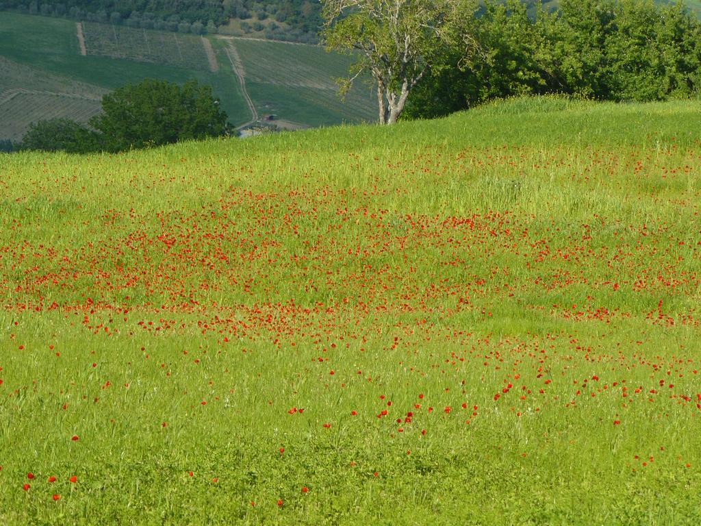 Il Palazzo Dei Diavoli Villa Montepulciano Stazione Buitenkant foto