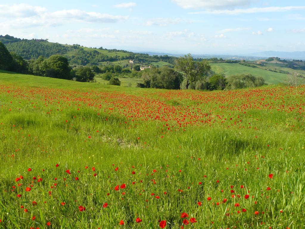 Il Palazzo Dei Diavoli Villa Montepulciano Stazione Buitenkant foto
